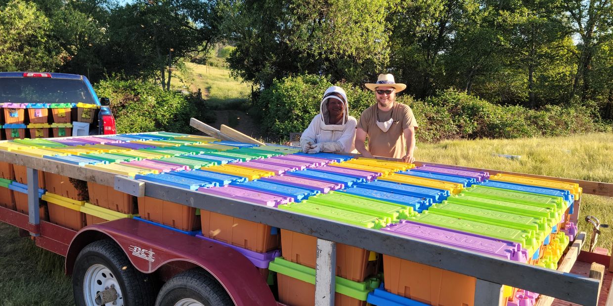 Golden West Bees bulk nuc orders ready for pick up
