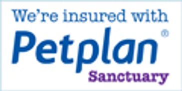 Ravendale training and behaviour are insured with petplan sanctuary