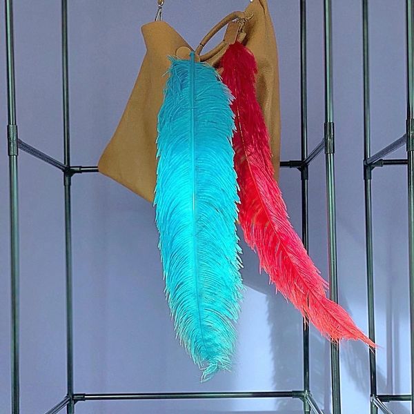 <alt> Plumas de avestruz de colo celeste y fuschia </alt>