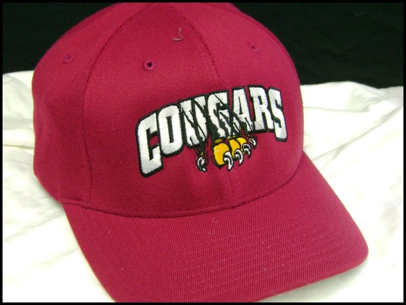 Cougars_Embroidery_2.jpg