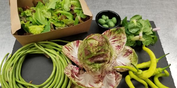 catering in Wooster Ohio
catering services near me 
catering in Ashland Ohio 
catering companies