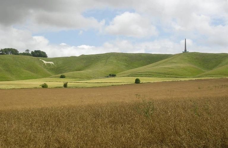 image208
