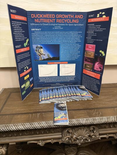 Science project on duckweed growth and nutrient recycling.