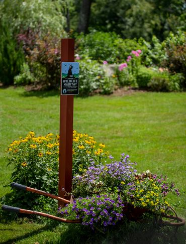 We are a certified wildlife habitat from the NWF