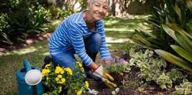 gardening and lawn cutting