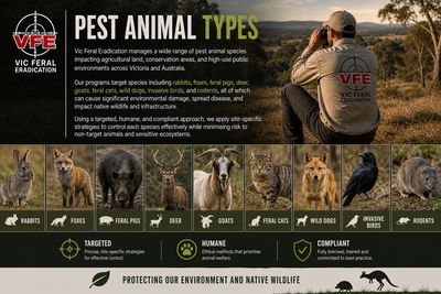 Vic Feral Eradication - Pest Animal Types