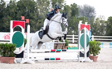 Equestrian show jumping professional photography