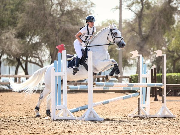 Equestrian event and show jumping professional photography 