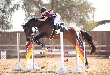 Horse and Rider show jumping professional equestrian photos