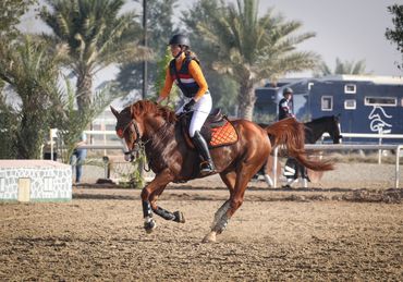 Emirates Equestrian Centre Show Jumping Photographer 