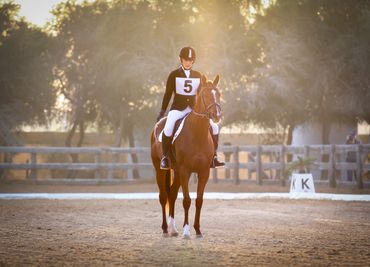 Equestrian Dressage professional photographer 