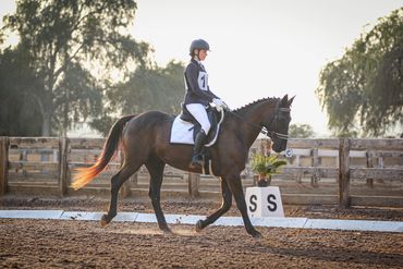 Equestrian Dressage Photography Dubai 