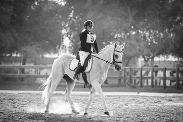 Dressage Photographer shows and events