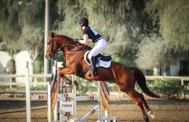 Equestrian horse and rider show jumping competition