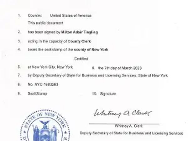 A certified apostille document from New York for Milton Adair Tingling.
