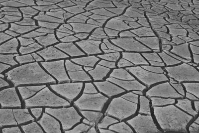 Cracked dry earth forming irregular patterns in a drought-affected area.