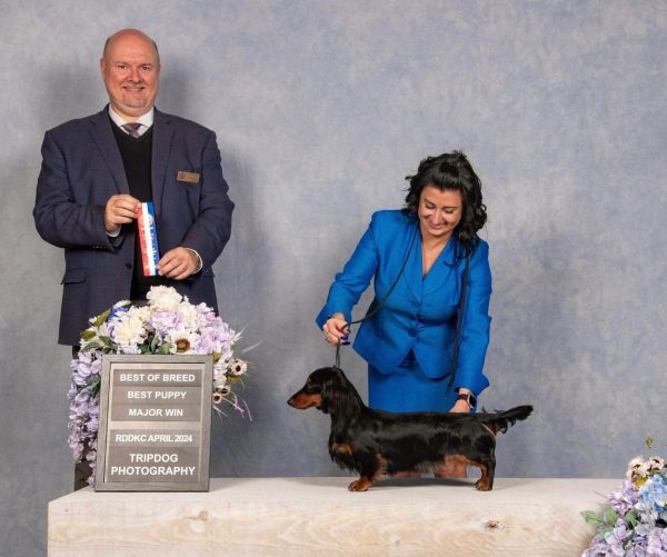Man and woman with dachshund at dog show awards.