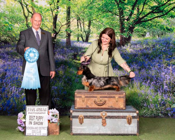 Woman shows a winning dog with judge holding a large blue ribbon.