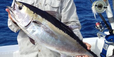 Person holding a large fish on a boat in the ocean.