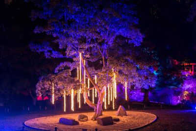 Tree lighting with light drop and flood lights