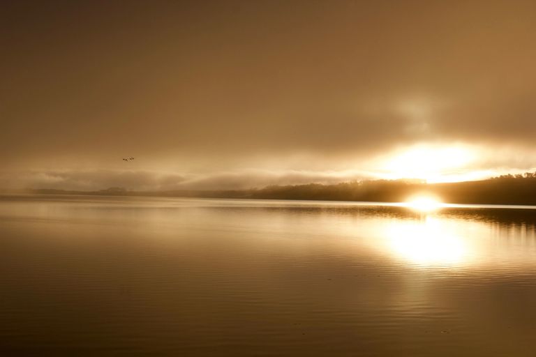 Loch Fleet in the morning