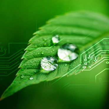 Sustainable and energy-efficient.