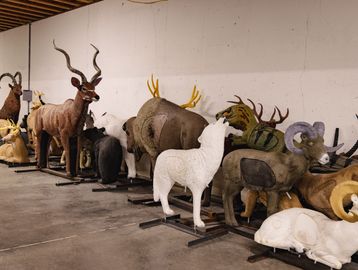 Wide selection of 3d targets