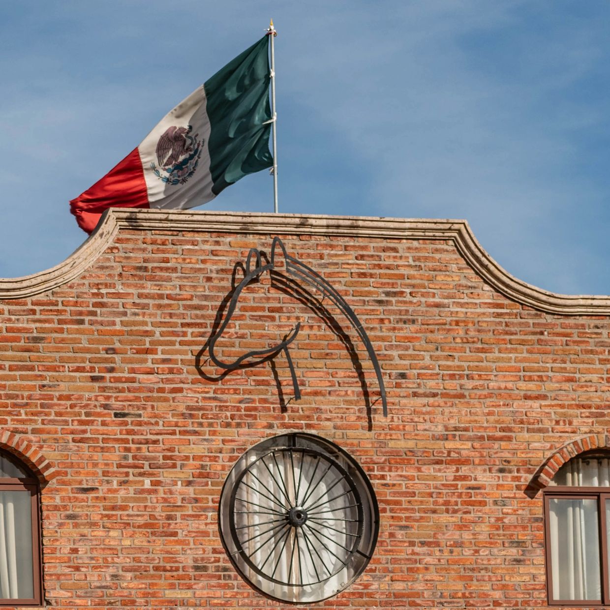 equinbiotec palominos, méxico, opu-icsi, reproducción equina