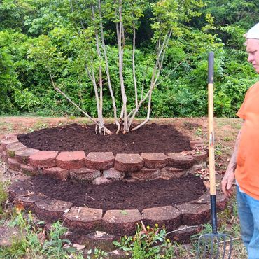 Removed unwanted trees an shrubs an weeds an added mulch