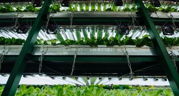 Vertical Farming Technology