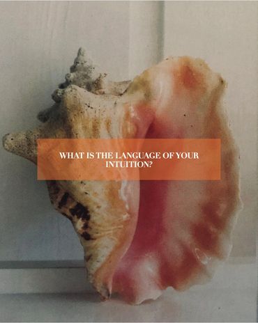 Close-up of a seashell with an inspirational quote overlay.