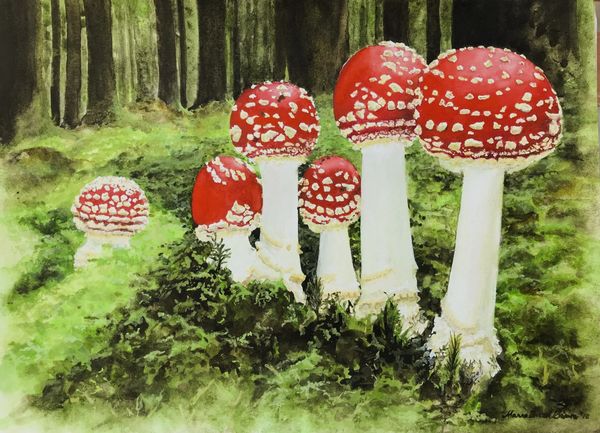 "Amanita Muscaria", transparent watercolor and gouache by Maria Freed