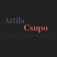 Attila Csupo Real Estate