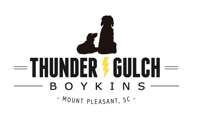 Thunder Gulch Boykins