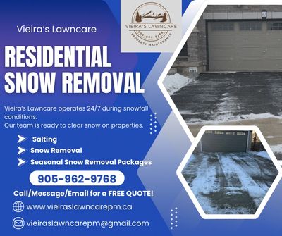 Vieira’s Lawncare residential snow removal flyer.