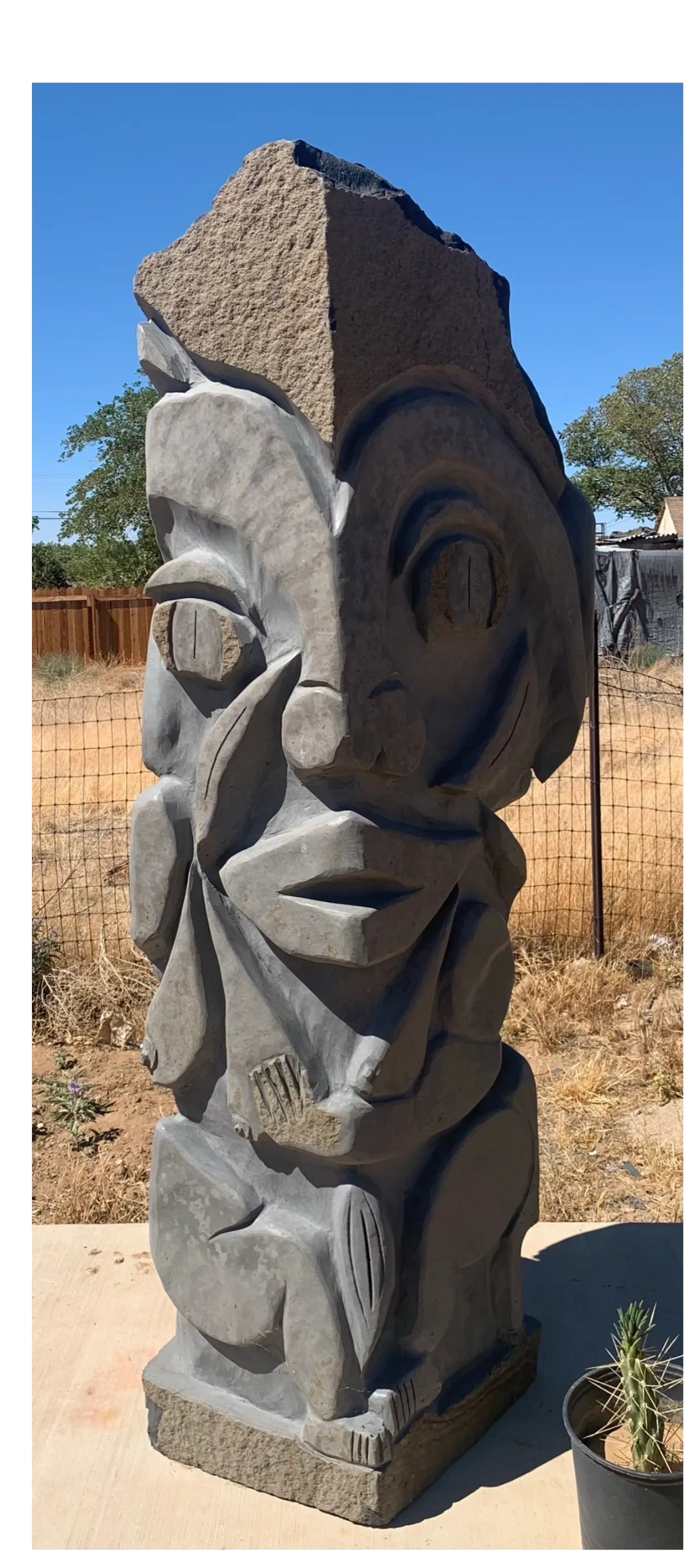 THE FIRE WATCHER
Basalt Column from Eastern Washington. 
Approximate age: 17,000,000 years
