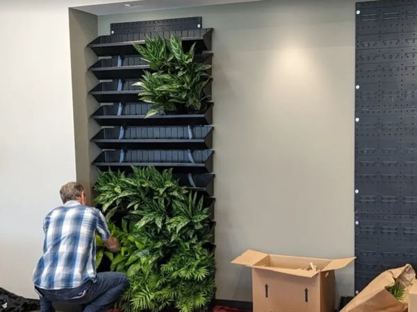 Custom living plant wall installation demonstration