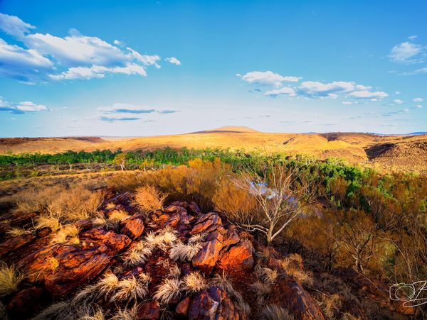 Eastern pilbara reigon
