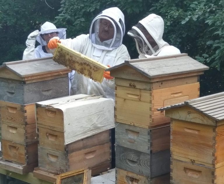 Gourmet Honeys, Creamed Honeys, Raw Honey, Toffee, Infused, Barrel Aged Honeys