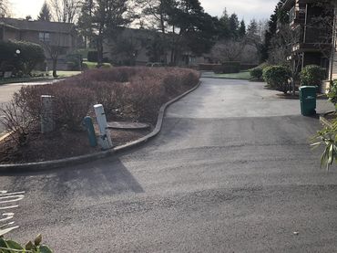 Large Asphalt Driveway at a condo Complex we Power washed curbs and driveways