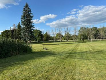 Commercial Lawn Care