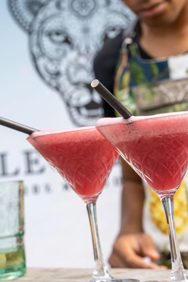 Summertime is perfect for frozen berry Leonista cocktails, on the Amstel, at Amstelhaven, Amsterdam…
