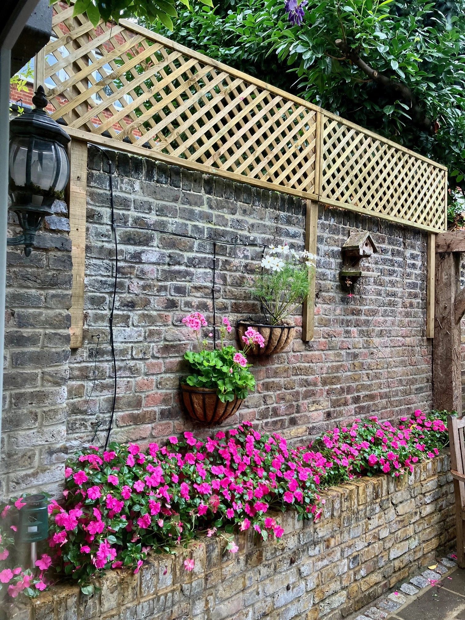 trellis install installation fix put garden wall trellis bricklayer handyman landscaping gardener 