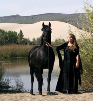 Black Stallion MHB Into the Void - "Loki"  @Saint Anthony Sand Dunes