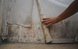 Mold damage on wall in home that is being removed by PrecisionMoldRestoration.com of South Florida