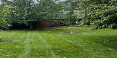 A lush green lawn with striped mowing patterns and several trees near a brick house.