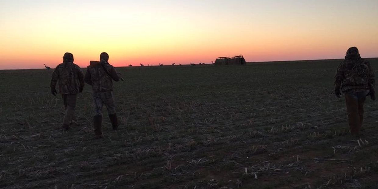 crane hunting