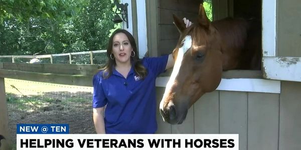 Helping veterans heal with horses