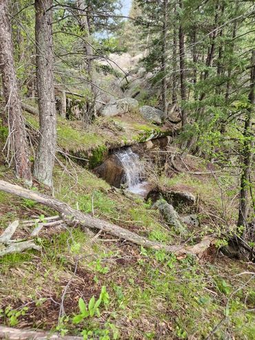 A small waterfall flows through a lush forest with rocks and trees.