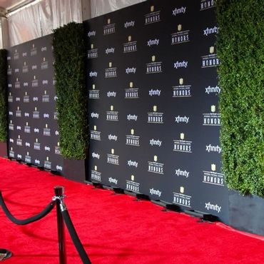Empty red carpet event area with sponsor backdrops and greenery.